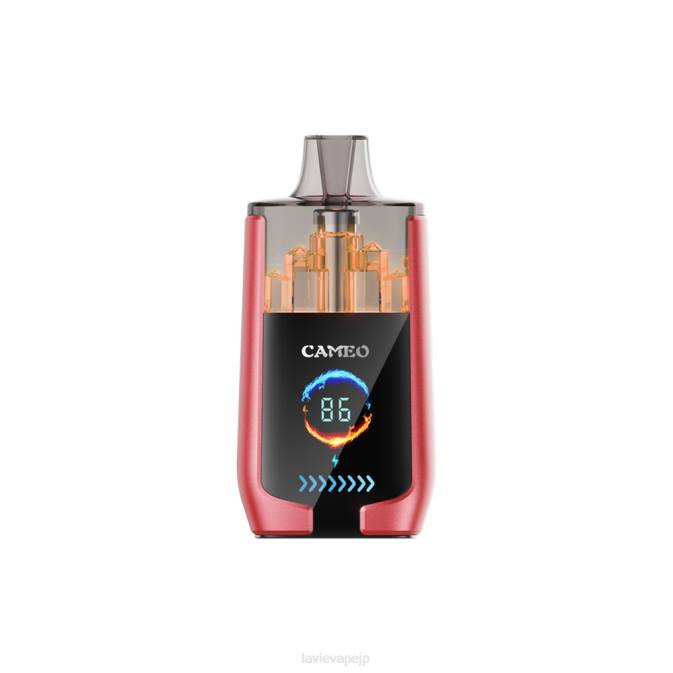 スイカ氷 LAVIE CAMEO 30000パフ 260P14 | Lavie Store Japan